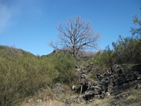 anobello-01042012 097